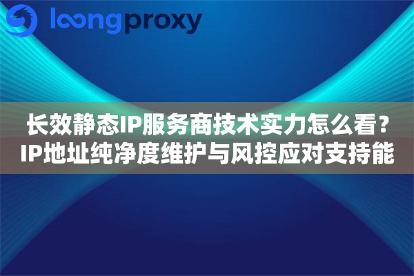 长效静态IP服务商技术实力怎么看？IP地址纯净度维护与风控应对支持能力