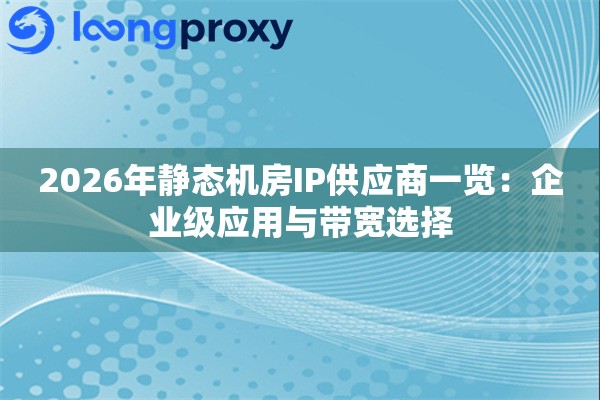 2026年静态机房IP供应商一览：企业级应用与带宽选择
