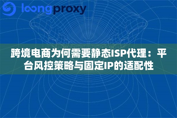 跨境电商为何需要静态ISP代理：平台风控策略与固定IP的适配性