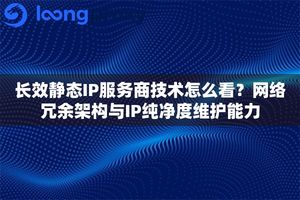 长效静态IP服务商技术怎么看？网络冗余架构与IP纯净度维护能力