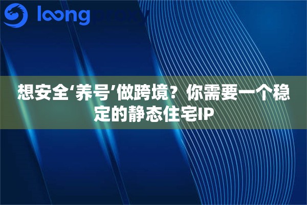 想安全‘养号’做跨境?你需要一个稳定的静态住宅IP 想安全‘养号’做跨境?你需要一个稳定的静态住宅IP