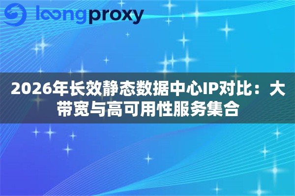 2026年长效静态数据中心IP对比：大带宽与高可用性服务集合
