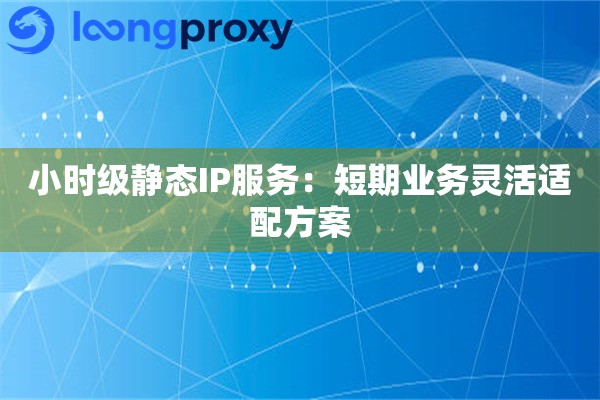 小时级静态IP服务:短期业务灵活适配方案 小时级静态IP服务:短期业务灵活适配方案