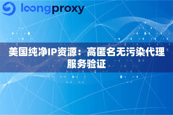 美国纯净IP资源：高匿名无污染代理服务验证