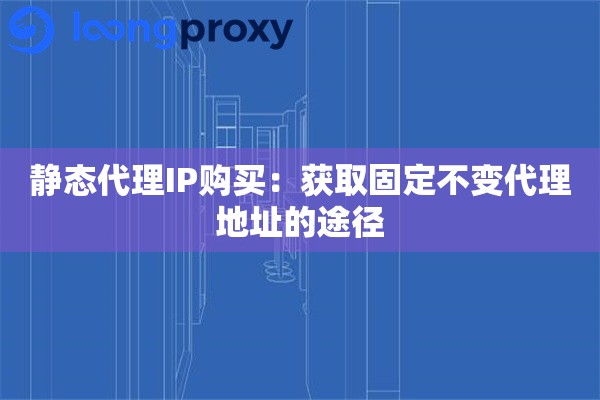 静态代理IP购买:获取固定不变代理地址的途径 静态代理IP购买:获取固定不变代理地址的途径