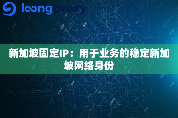 新加坡固定IP:用于业务的稳定新加坡网络身份 新加坡固定IP:用于业务的稳定新加坡网络身份
