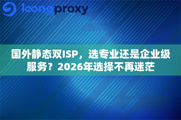 国外静态双ISP，选专业还是企业级服务？2026年选择不再迷茫
