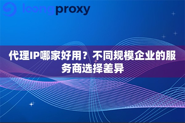 代理IP哪家好用？不同规模企业的服务商选择差异