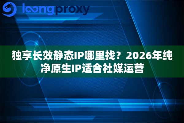 独享长效静态IP哪里找？2026年纯净原生IP适合社媒运营