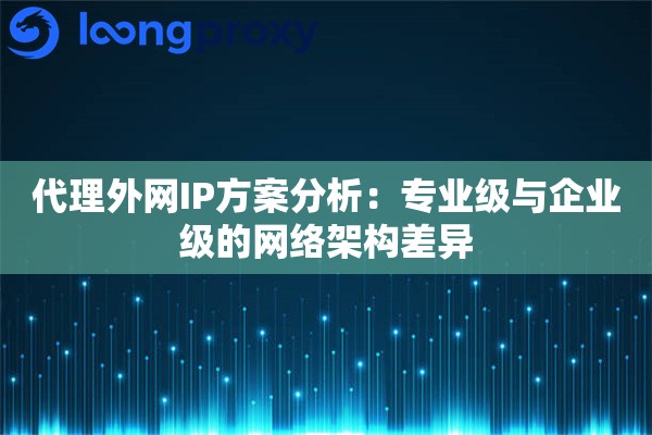 代理外网IP方案分析：专业级与企业级的网络架构差异