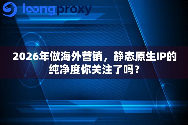 2026年做海外营销，静态原生IP的纯净度你关注了吗？