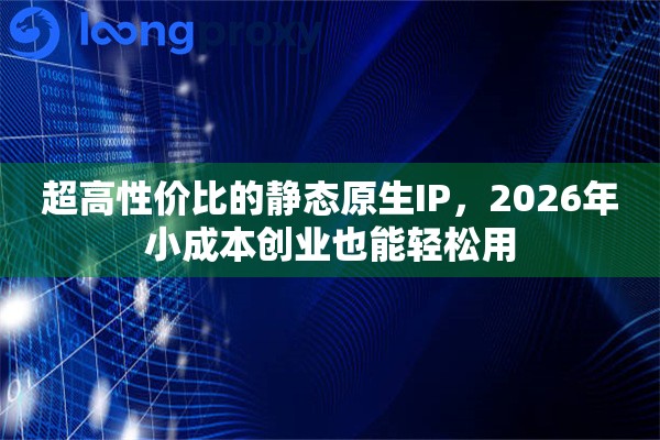 超高性价比的静态原生IP，2026年小成本创业也能轻松用