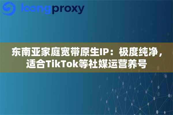 东南亚家庭宽带原生IP：极度纯净，适合TikTok等社媒运营养号