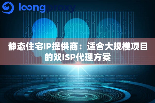 静态住宅IP提供商:适合大规模项目的双ISP代理方案 静态住宅IP提供商:适合大规模项目的双ISP代理方案