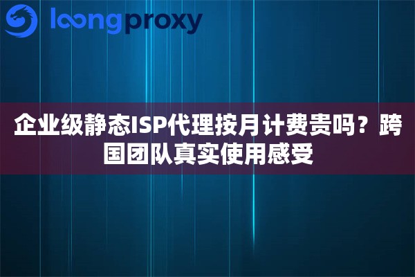 企业级静态ISP代理按月计费贵吗？跨国团队真实使用感受