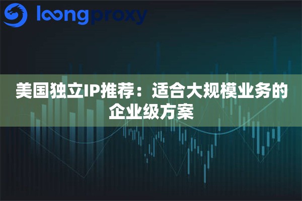 美国独立IP推荐：适合大规模业务的企业级方案