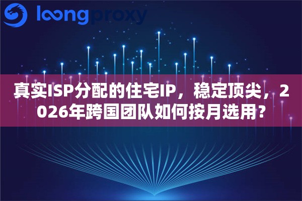 真实ISP分配的住宅IP，稳定顶尖，2026年跨国团队如何按月选用？