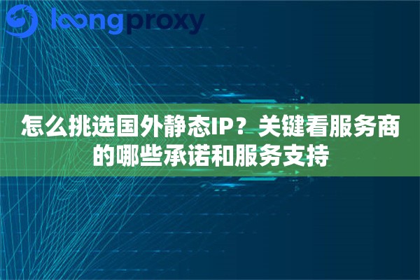 怎么挑选国外静态IP？关键看服务商的哪些承诺和服务支持