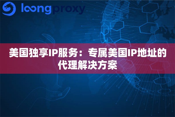 美国独享IP服务：专属美国IP地址的代理解决方案
