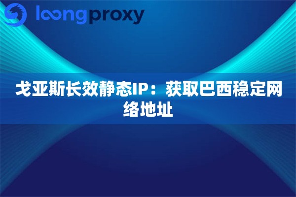 戈亚斯长效静态IP：获取巴西稳定网络地址