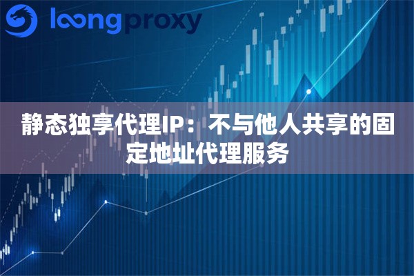 静态独享代理IP：不与他人共享的固定地址代理服务