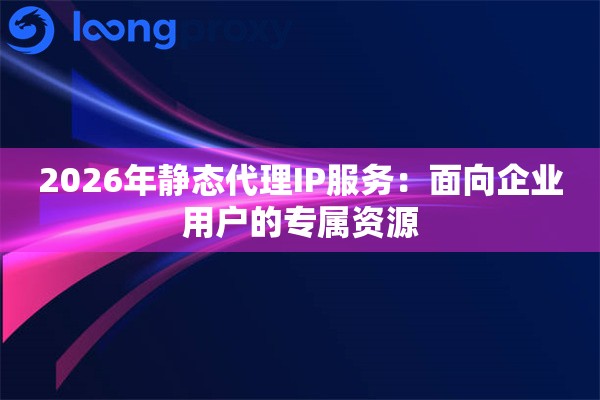 2026年静态代理IP服务：面向企业用户的专属资源