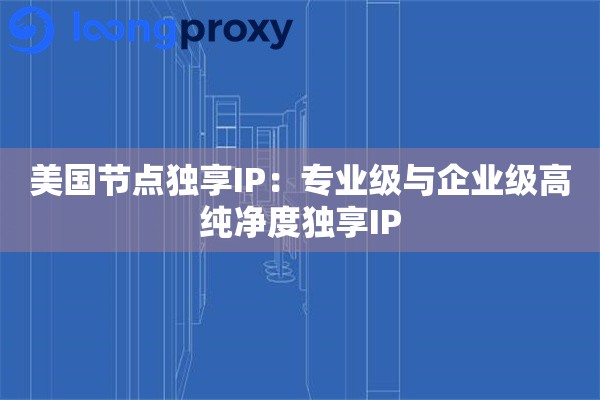 美国节点独享IP:专业级与企业级高纯净度独享IP 美国节点独享IP:专业级与企业级高纯净度独享IP