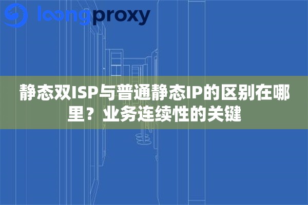 静态双ISP与普通静态IP的区别在哪里？业务连续性的关键