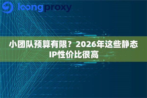 小团队预算有限？2026年这些静态IP性价比很高