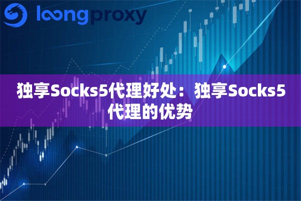 独享Socks5代理好处:独享Socks5代理的优势 独享Socks5代理好处:独享Socks5代理的优势