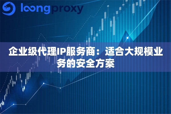 企业级代理IP服务商:适合大规模业务的安全方案 企业级代理IP服务商:适合大规模业务的安全方案