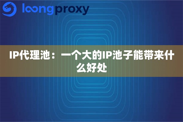IP代理池:一个大的IP池子能带来什么好处 IP代理池:一个大的IP池子能带来什么好处