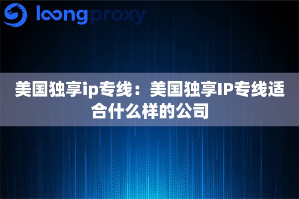 美国独享ip专线：美国独享IP专线适合什么样的公司