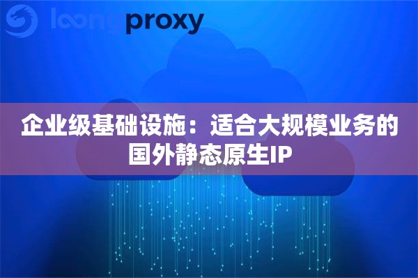 企业级基础设施：适合大规模业务的国外静态原生IP