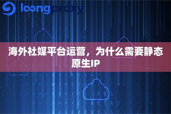 海外社媒平台运营，为什么需要静态原生IP
