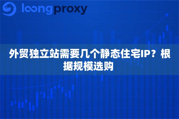外贸独立站需要几个静态住宅IP？根据规模选购 