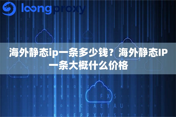 海外静态ip一条多少钱？海外静态IP一条大概什么价格