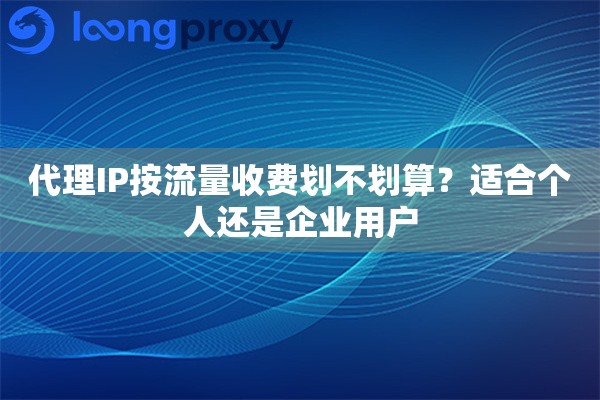代理IP按流量收费划不划算？适合个人还是企业用户