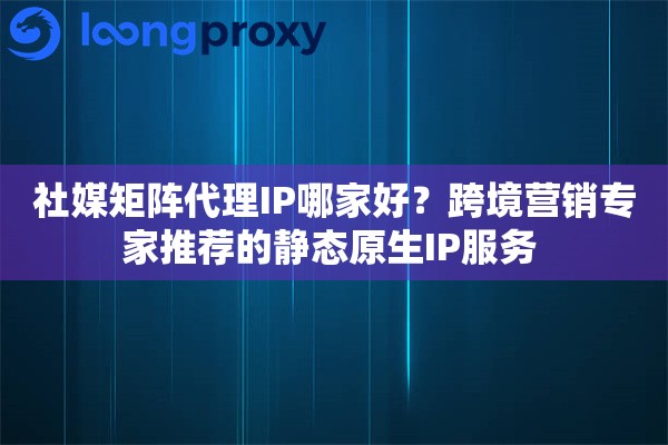 社媒矩阵代理IP哪家好？跨境营销专家推荐的静态原生IP服务 