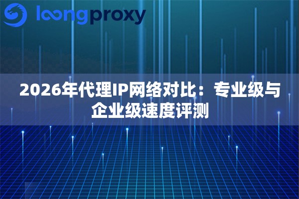 2026年代理IP网络对比：专业级与企业级速度评测