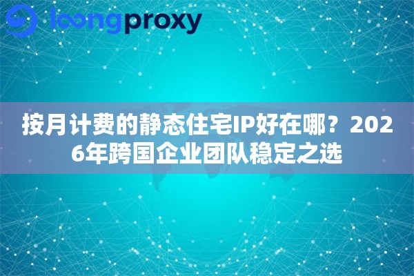 按月计费的静态住宅IP好在哪？2026年跨国企业团队稳定之选
