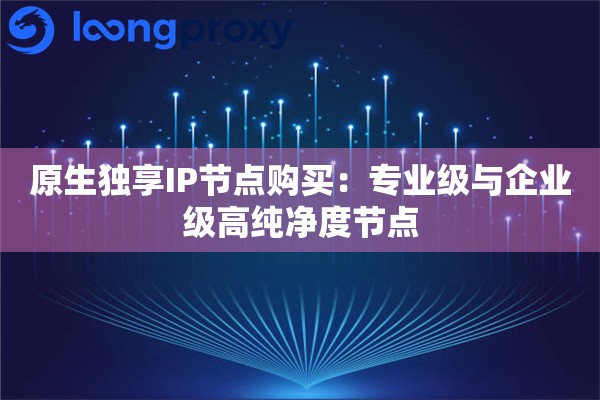 原生独享IP节点购买：专业级与企业级高纯净度节点