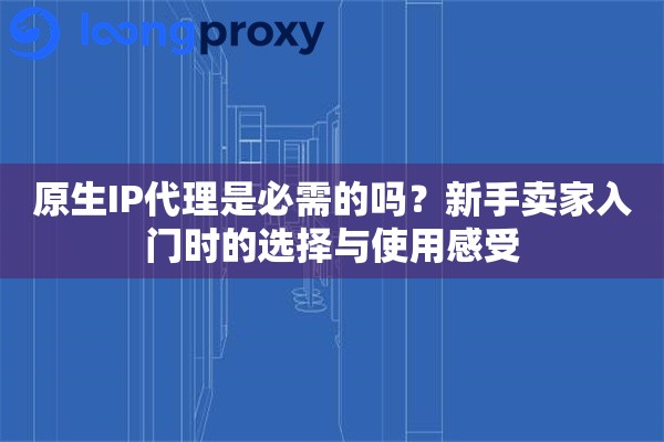 原生IP代理是必需的吗？新手卖家入门时的选择与使用感受