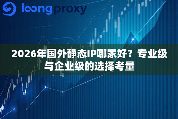 2026年国外静态IP哪家好？专业级与企业级的选择考量