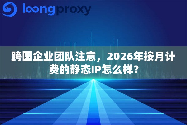 跨国企业团队注意，2026年按月计费的静态IP怎么样？