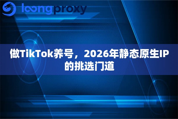 做TikTok养号，2026年静态原生IP的挑选门道