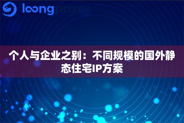 个人与企业之别：不同规模的国外静态住宅IP方案