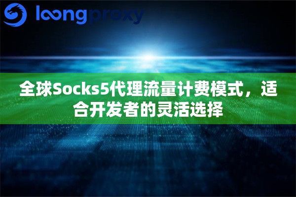 全球Socks5代理流量计费模式，适合开发者的灵活选择