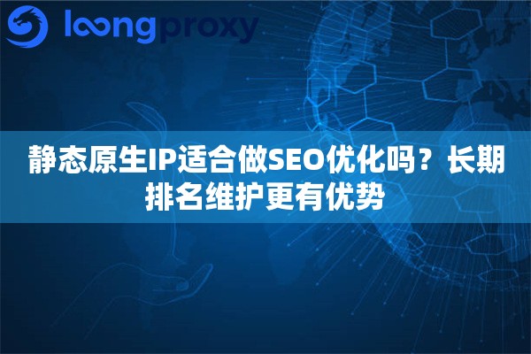 静态原生IP适合做SEO优化吗？长期排名维护更有优势