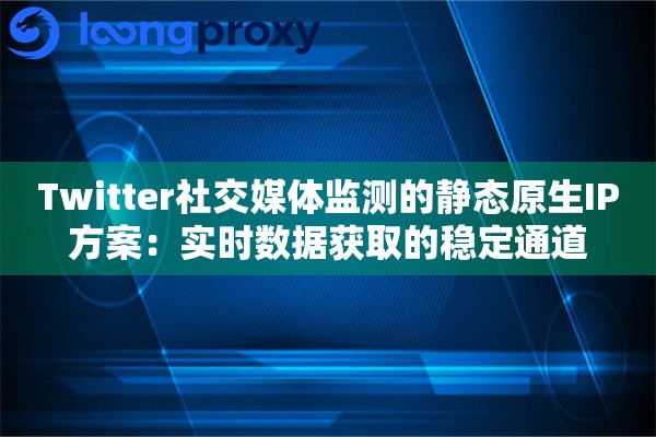 Twitter社交媒体监测的静态原生IP方案：实时数据获取的稳定通道